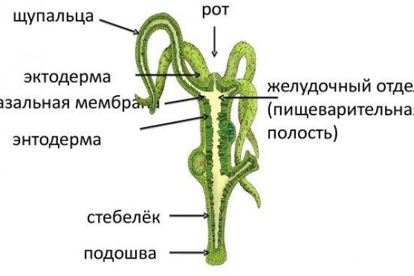 Кракен правила площадки